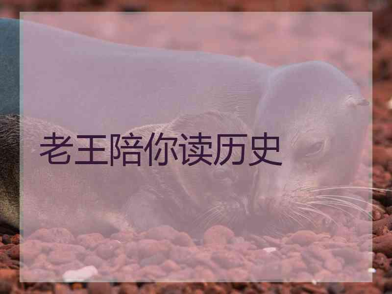 老王陪你读历史