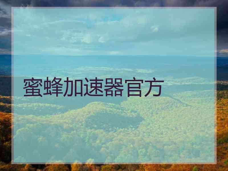 蜜蜂加速器官方