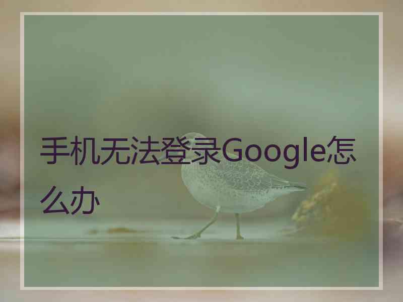 手机无法登录Google怎么办