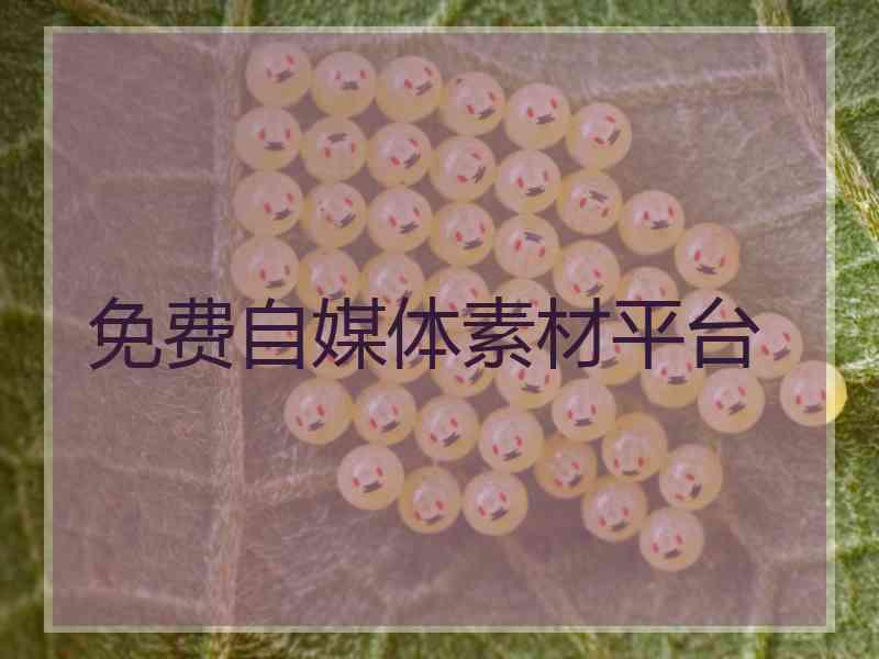 免费自媒体素材平台