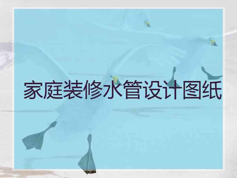 家庭装修水管设计图纸