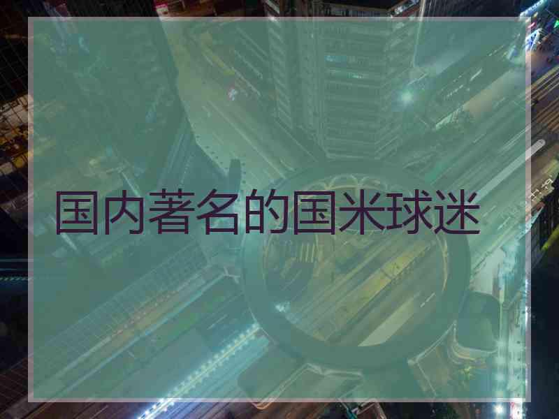 国内著名的国米球迷