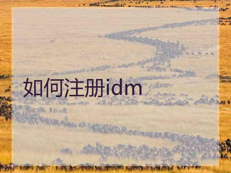 如何注册idm