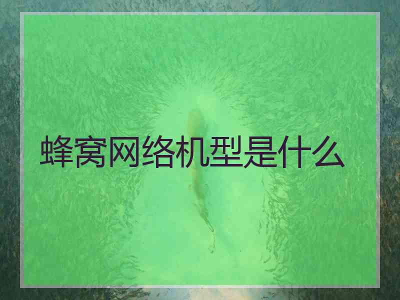 蜂窝网络机型是什么