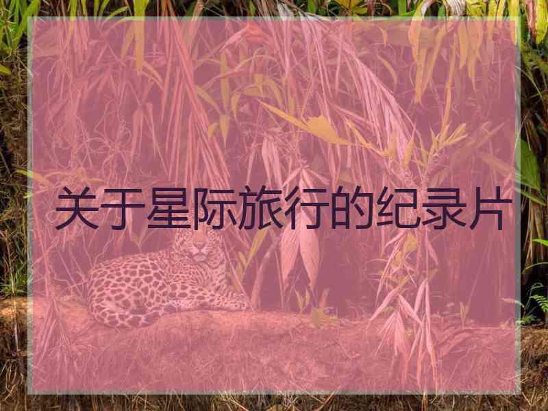 关于星际旅行的纪录片