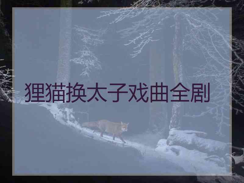 狸猫换太子戏曲全剧