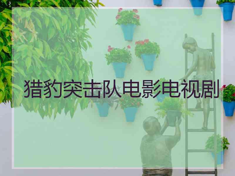 猎豹突击队电影电视剧