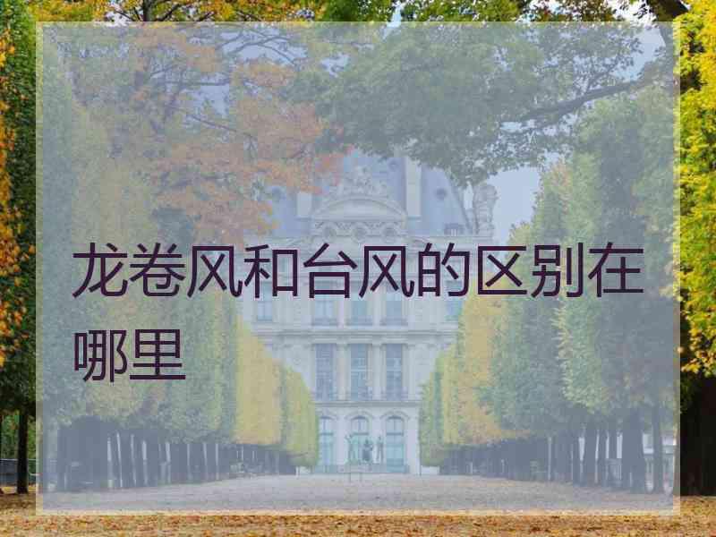 龙卷风和台风的区别在哪里