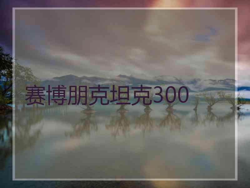 赛博朋克坦克300