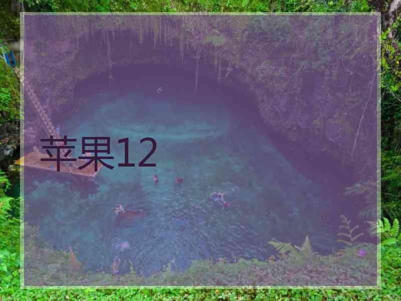 苹果12