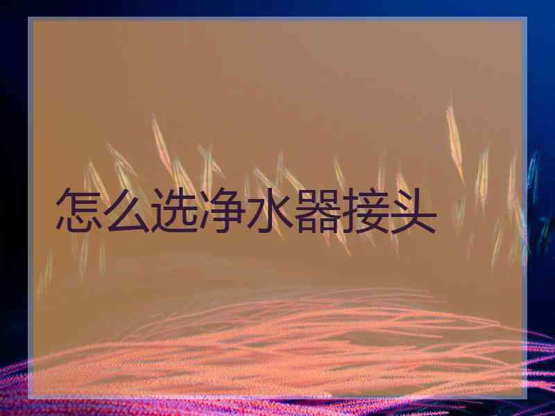 怎么选净水器接头