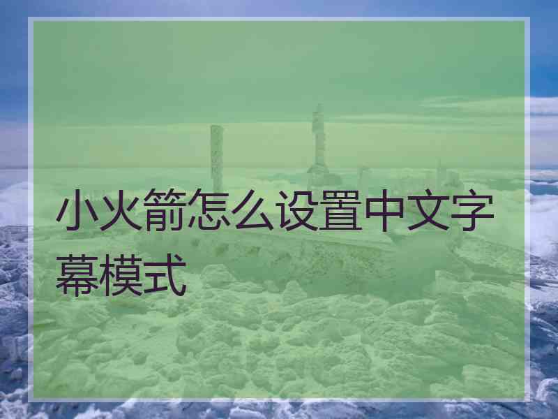 小火箭怎么设置中文字幕模式