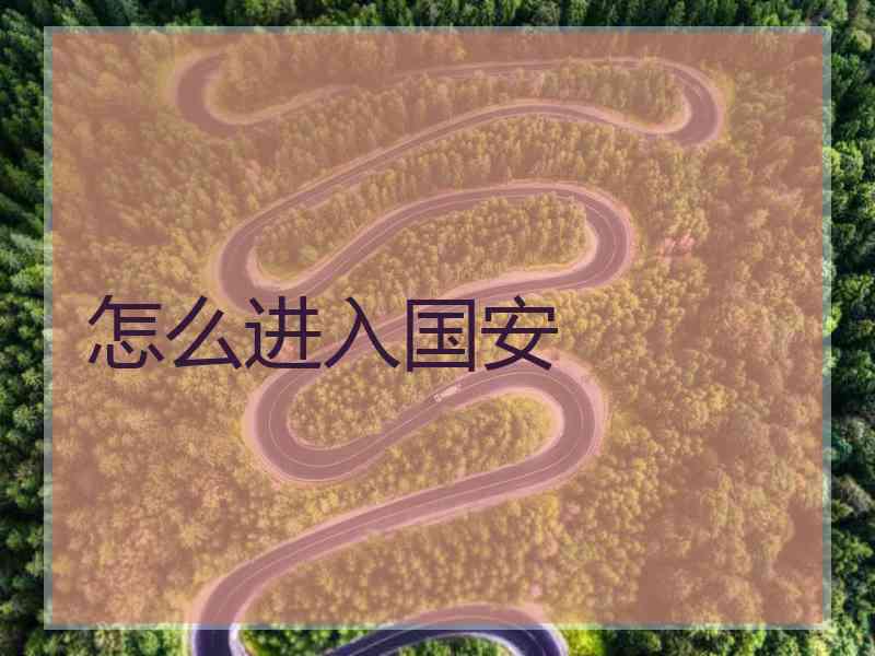 怎么进入国安