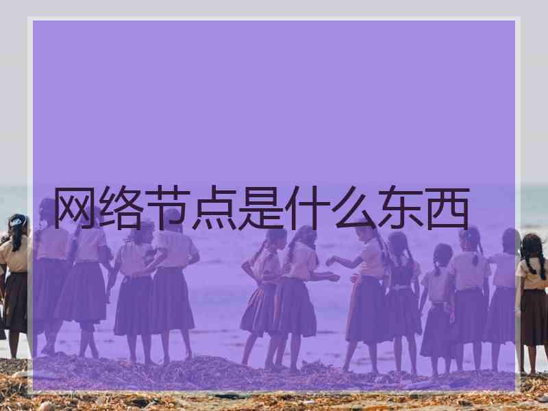 网络节点是什么东西