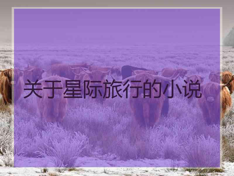 关于星际旅行的小说
