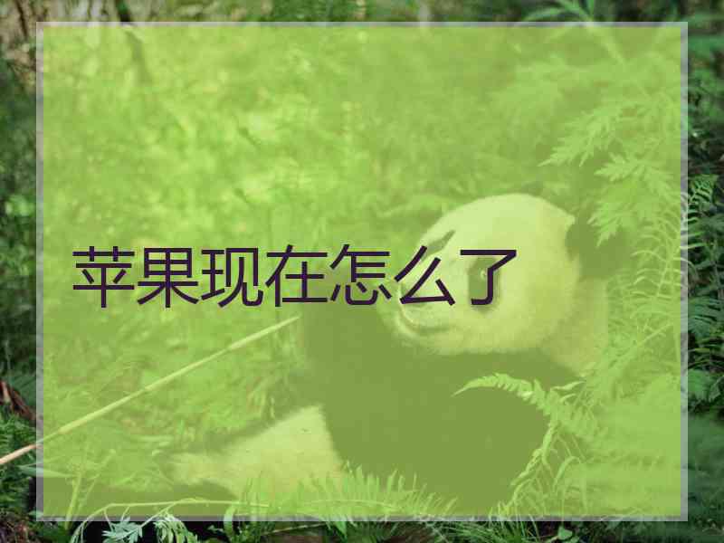 苹果现在怎么了