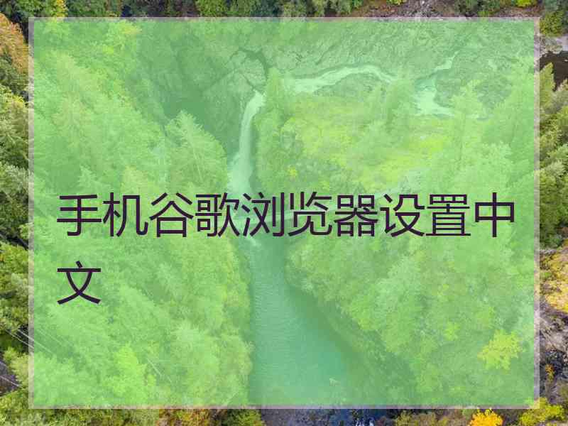 手机谷歌浏览器设置中文