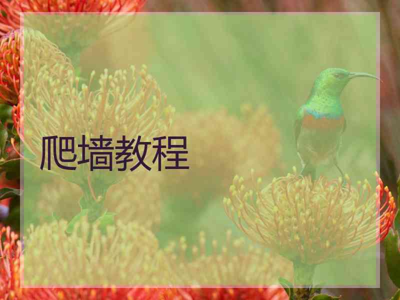 爬墙教程