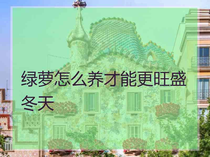 绿萝怎么养才能更旺盛 冬天