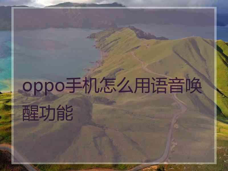 oppo手机怎么用语音唤醒功能