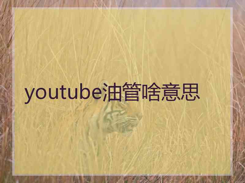youtube油管啥意思