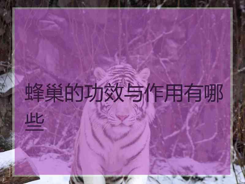蜂巢的功效与作用有哪些