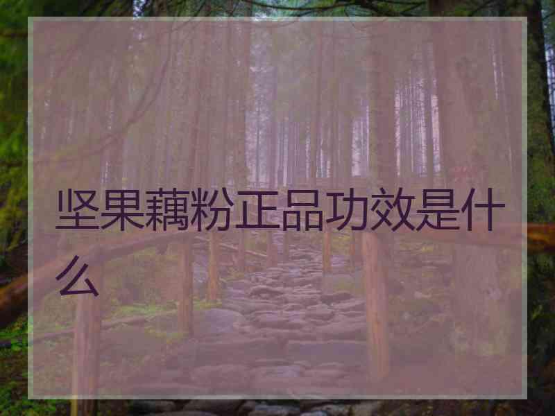 坚果藕粉正品功效是什么