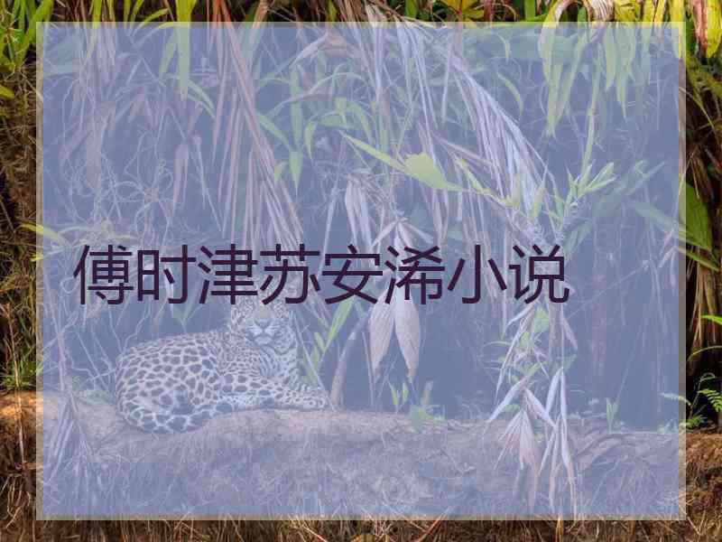 傅时津苏安浠小说