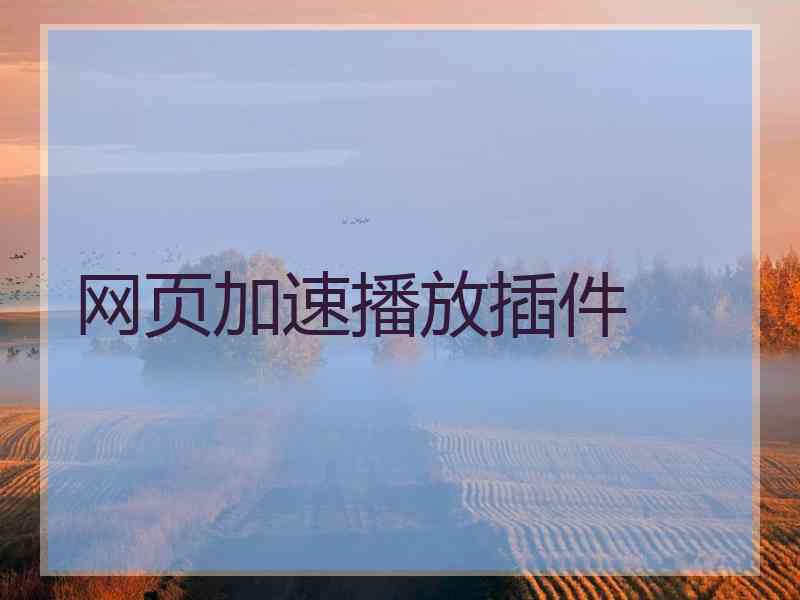 网页加速播放插件