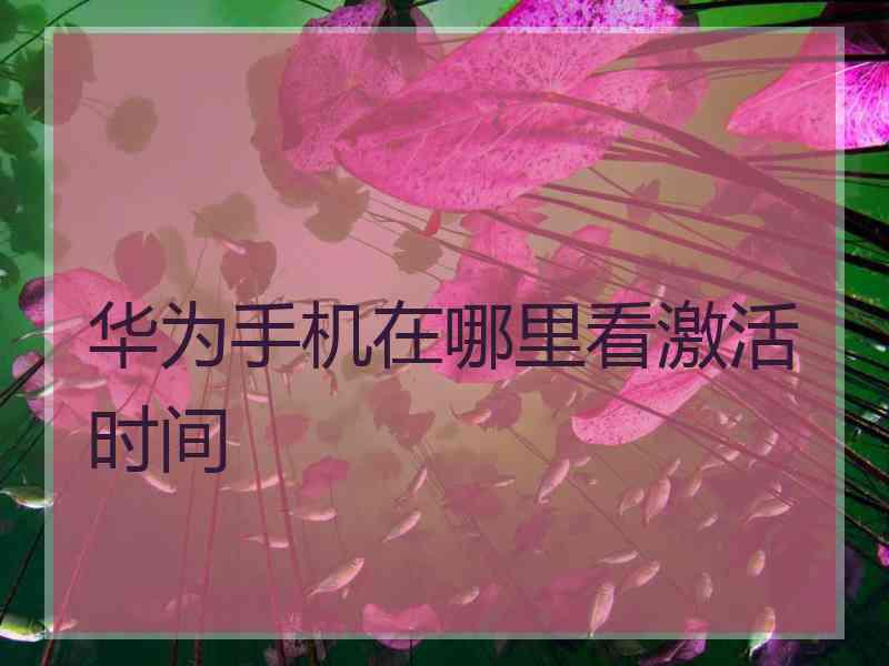 华为手机在哪里看激活时间