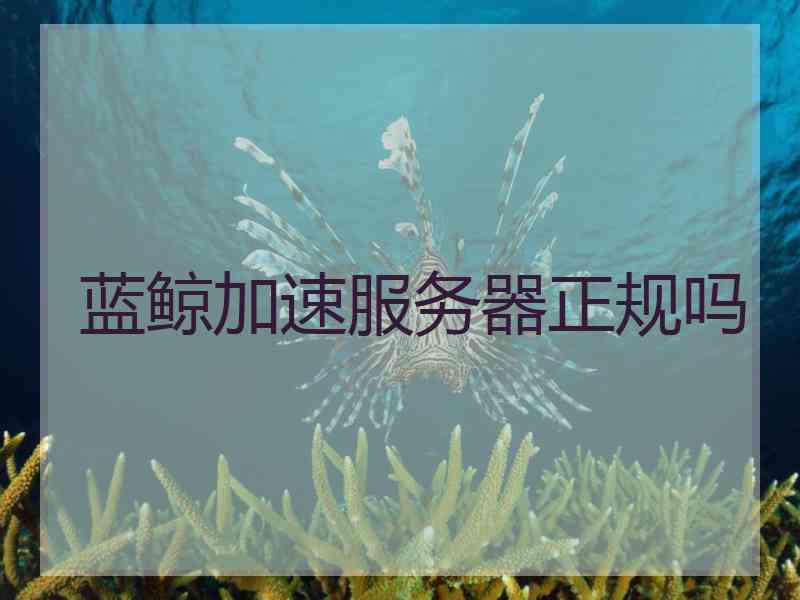 蓝鲸加速服务器正规吗