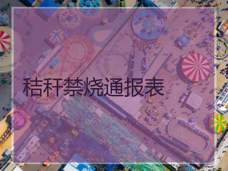 秸秆禁烧通报表