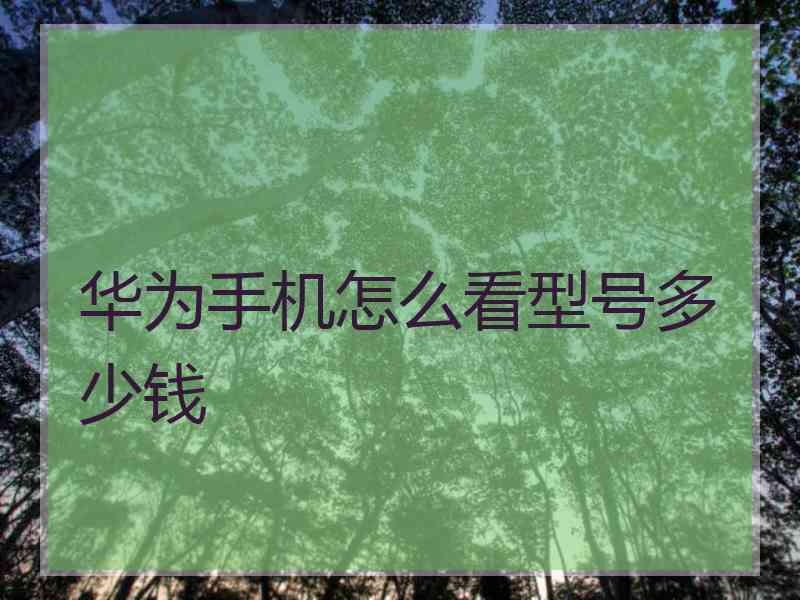 华为手机怎么看型号多少钱