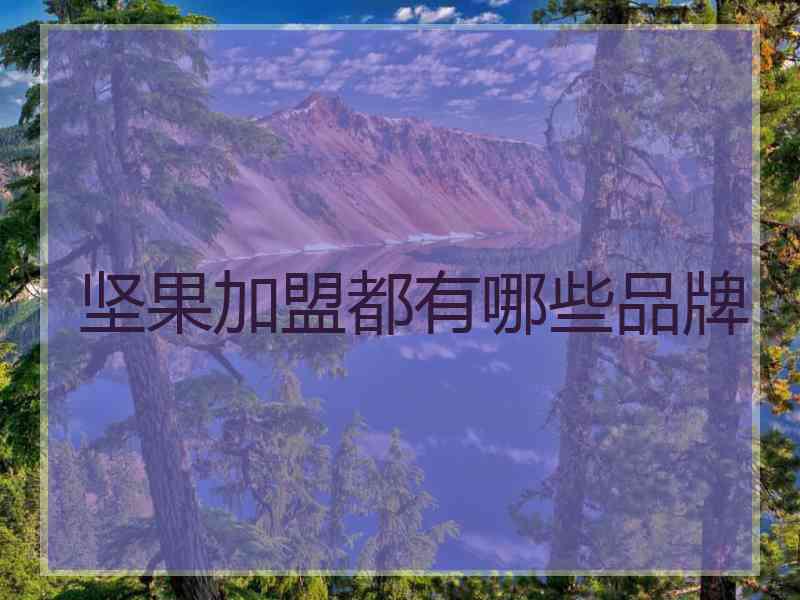 坚果加盟都有哪些品牌