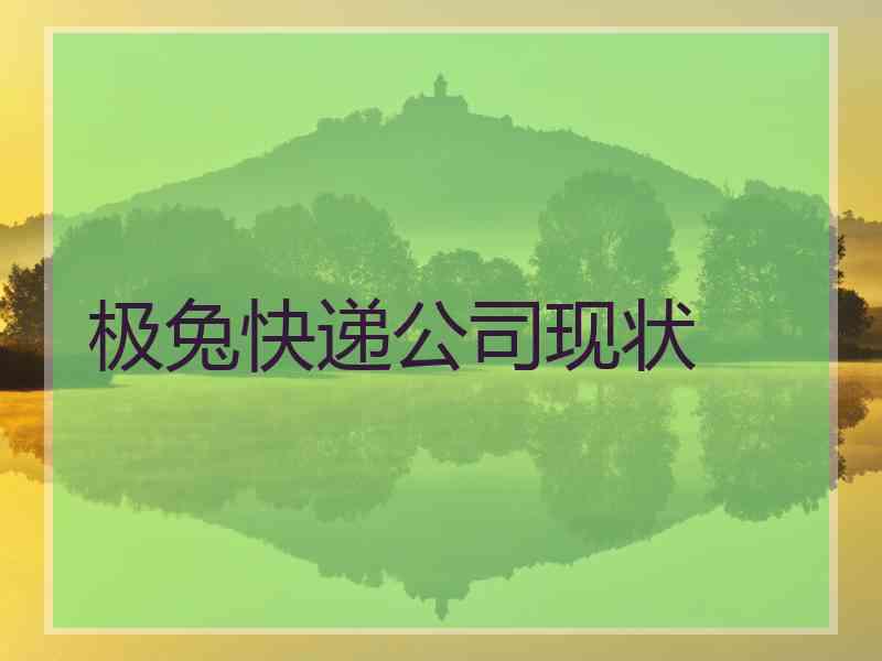 极兔快递公司现状