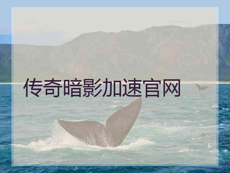 传奇暗影加速官网