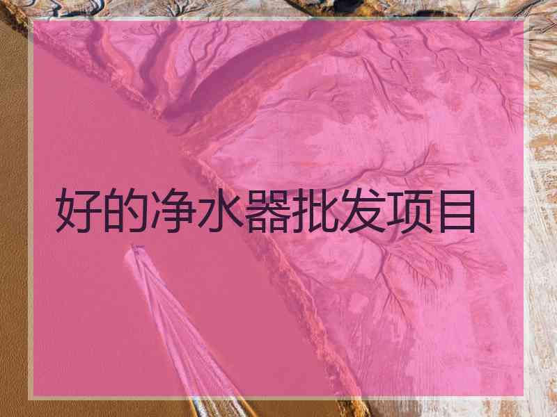 好的净水器批发项目