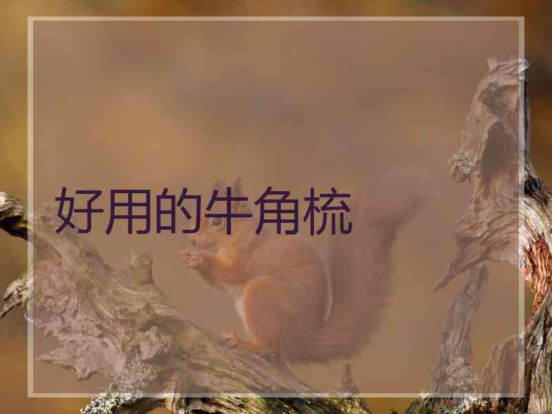 好用的牛角梳