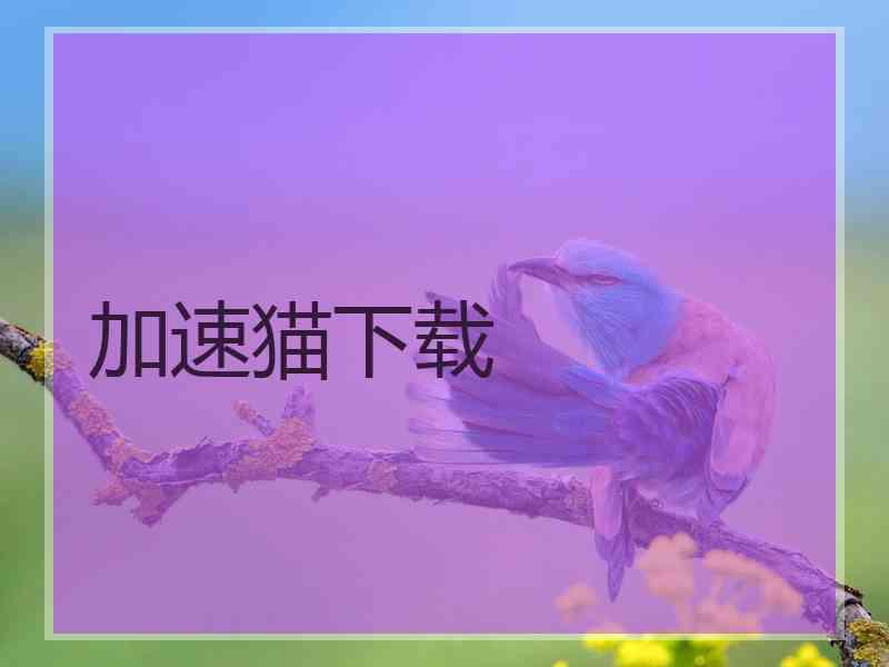 加速猫下载