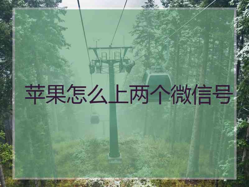 苹果怎么上两个微信号