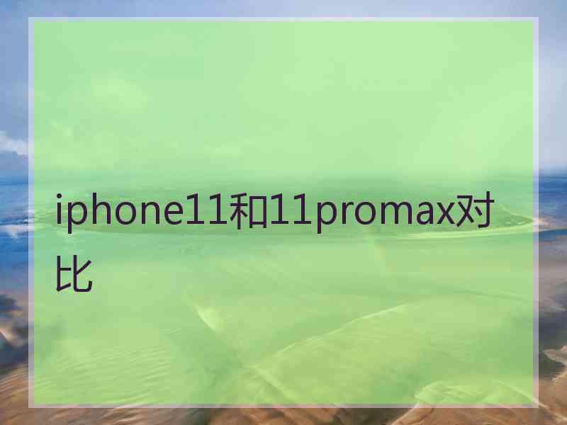 iphone11和11promax对比