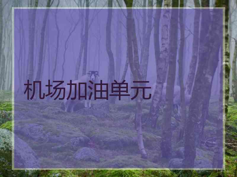 机场加油单元