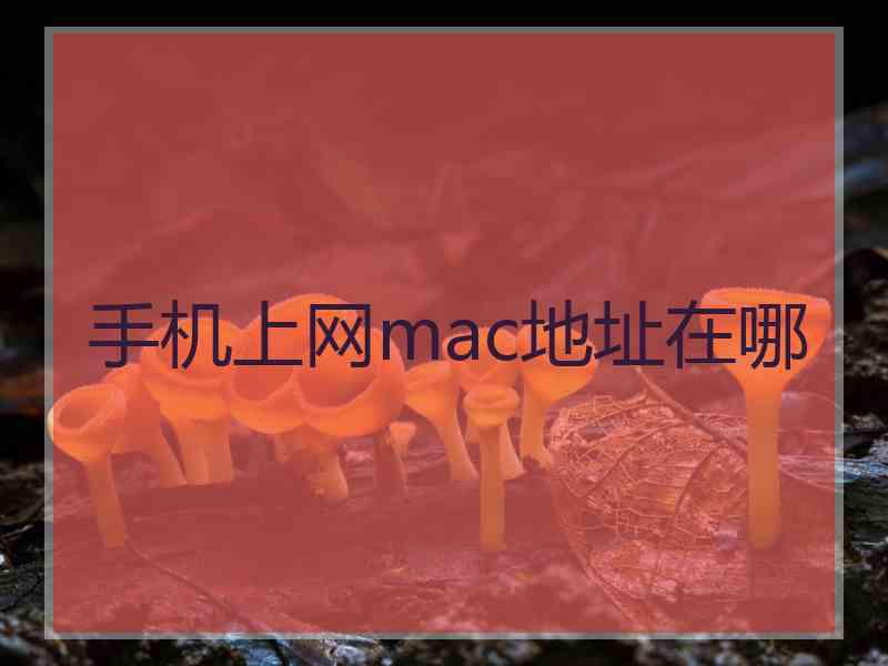 手机上网mac地址在哪