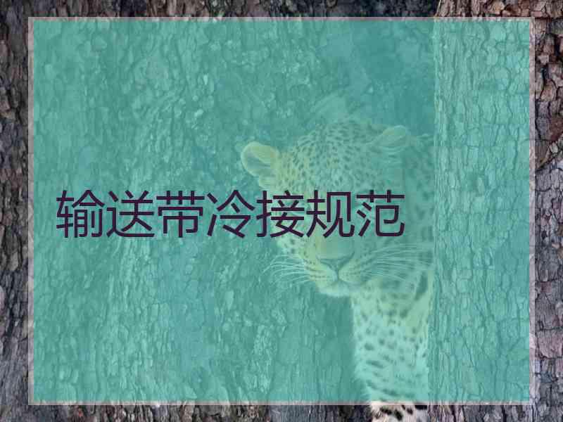 输送带冷接规范