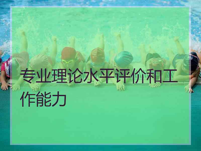 专业理论水平评价和工作能力
