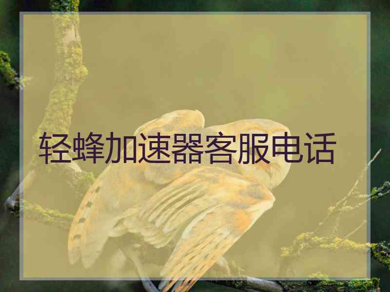 轻蜂加速器客服电话