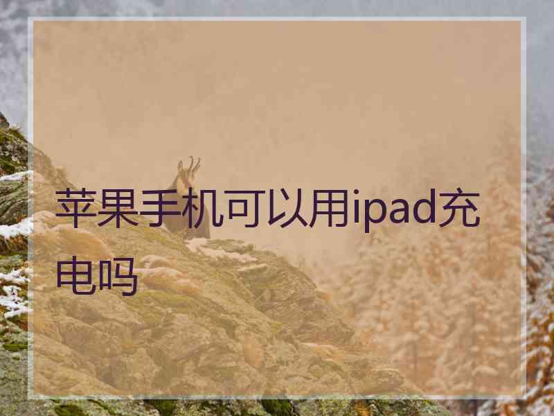 苹果手机可以用ipad充电吗