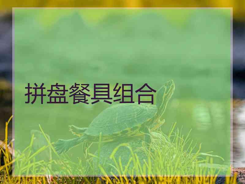 拼盘餐具组合