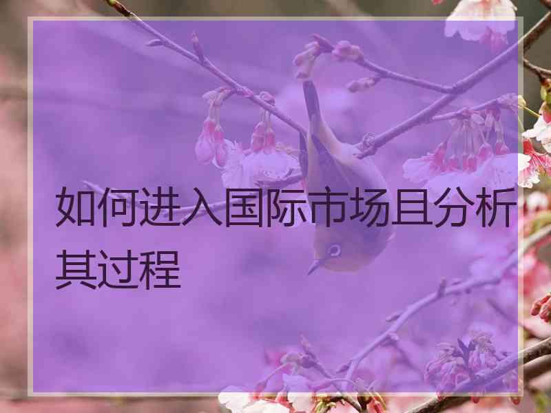 如何进入国际市场且分析其过程