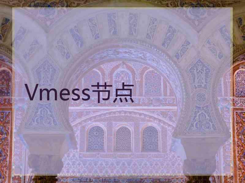 Vmess节点